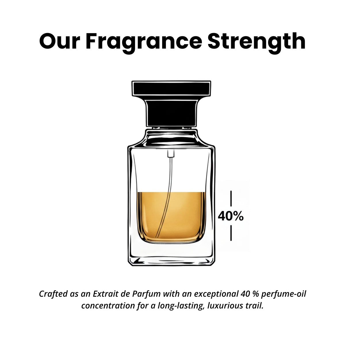 MIDNIGHT BLOOM | Inspired by Velvet Orchid (50ml)